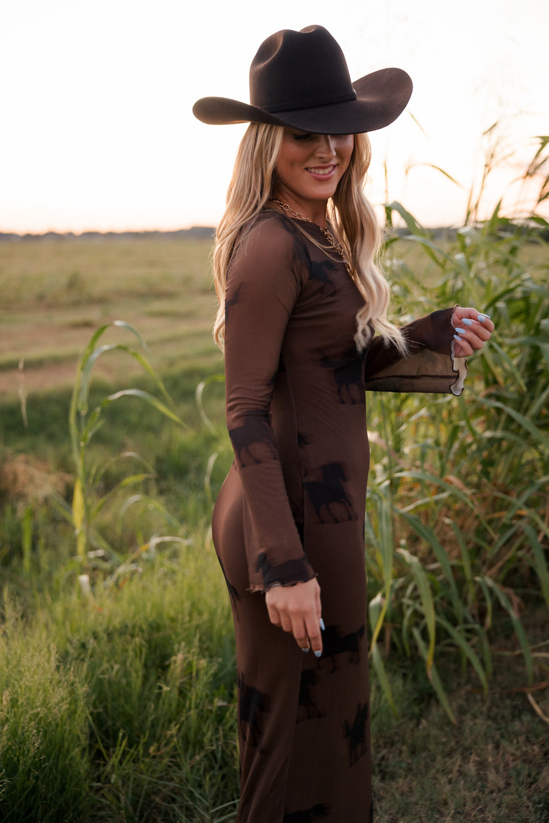 Equestrian Mesh Maxi Dress