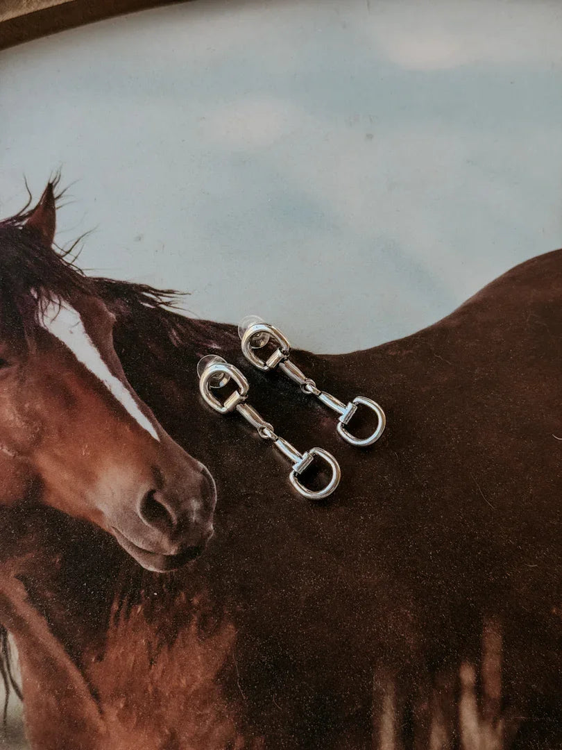 Horse bridle with three-ring snaffle on a horse's head, with a blurred natural background