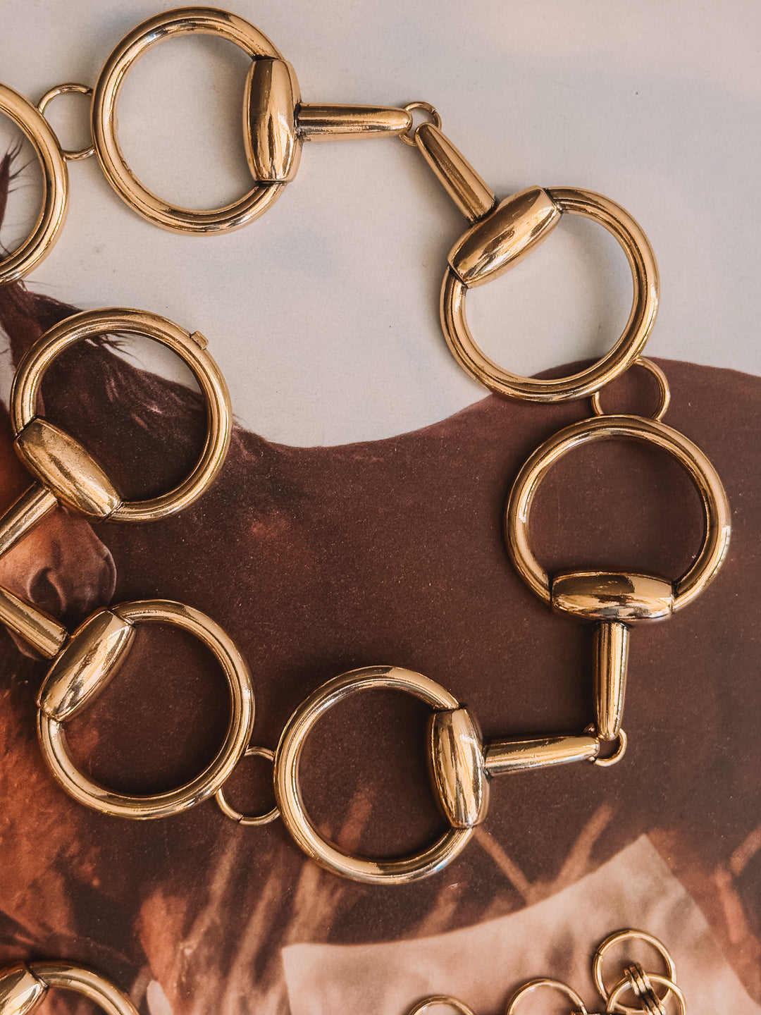 Close-up of a gold bridle bit with a horse background