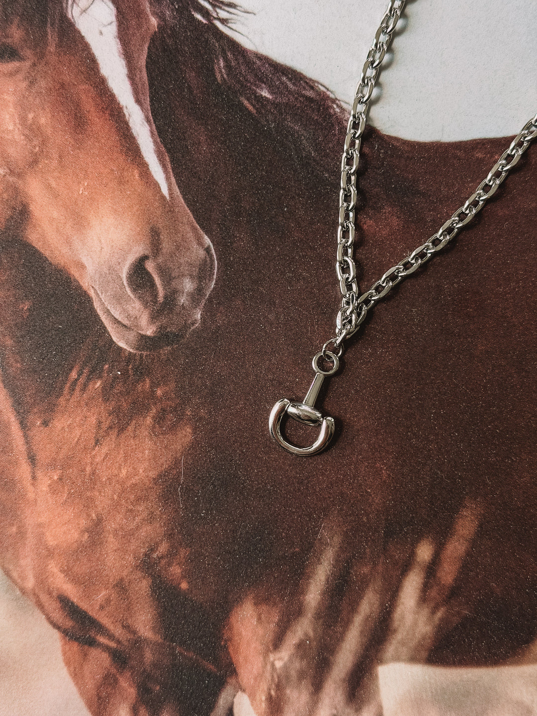 Silver Half Snaffle Bit Necklace