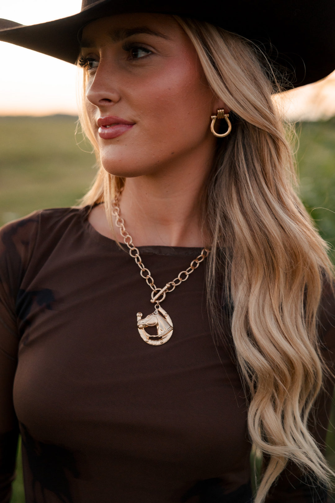 Golden Horseshoe Earrings