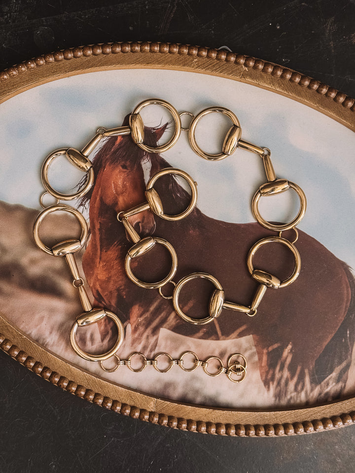 Gold bridle on a decorative plate with a horse image