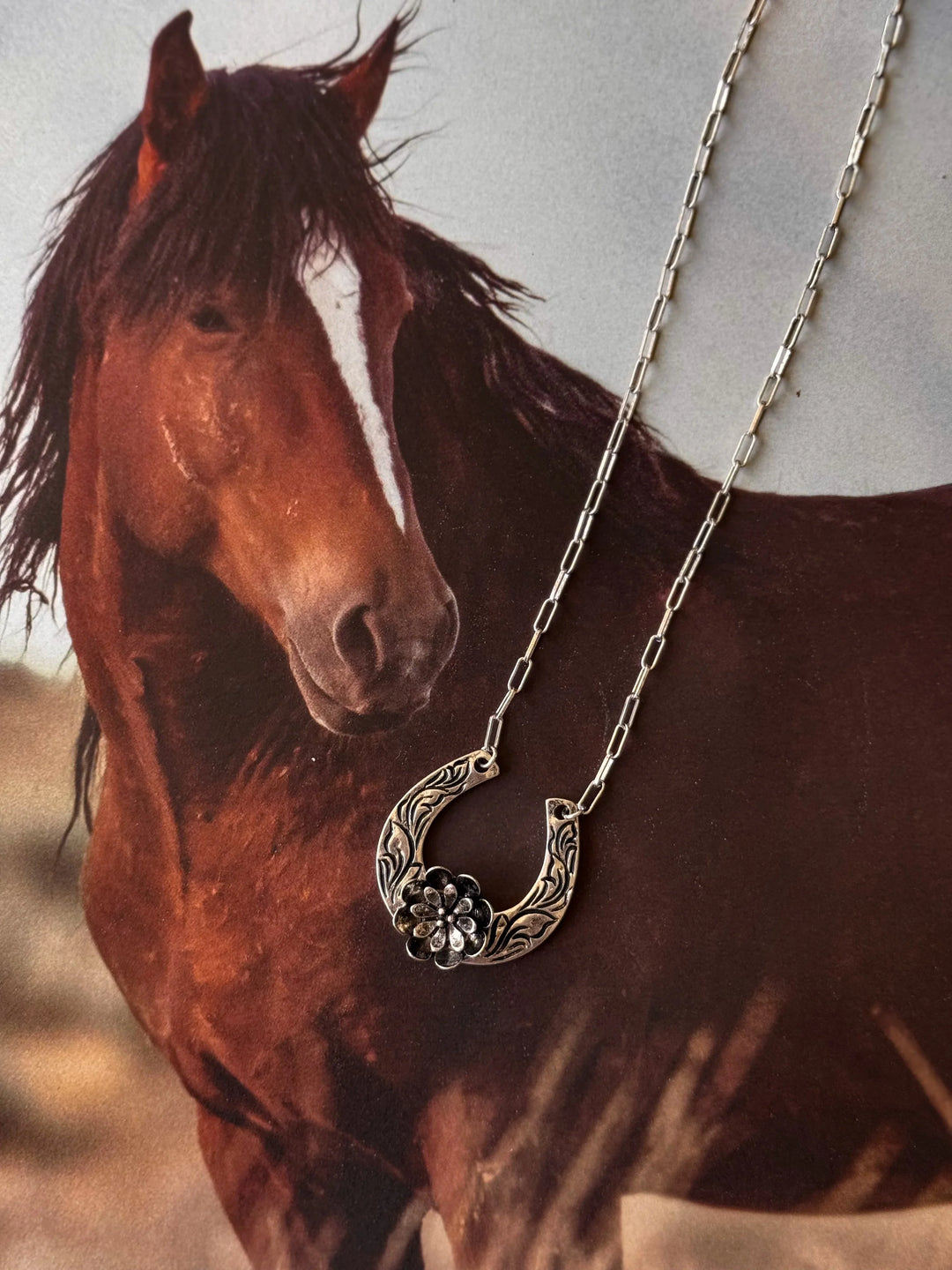 Horse with a necklace featuring a horseshoe pendant
